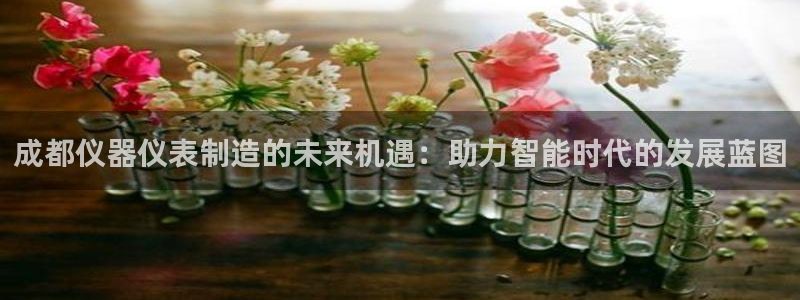 cq9传奇电子新闻：成都仪器仪表制造的未来机遇：助力智能时代